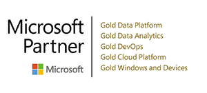 Microsoft Gold Competency